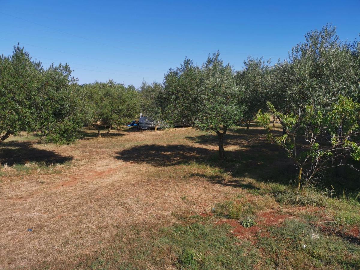 Jacuzi Cottage In The Olive Grove Pula Exteriér fotografie