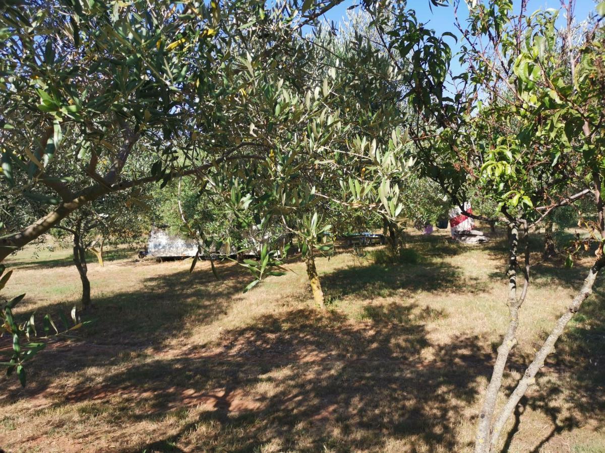 Jacuzi Cottage In The Olive Grove Pula Exteriér fotografie