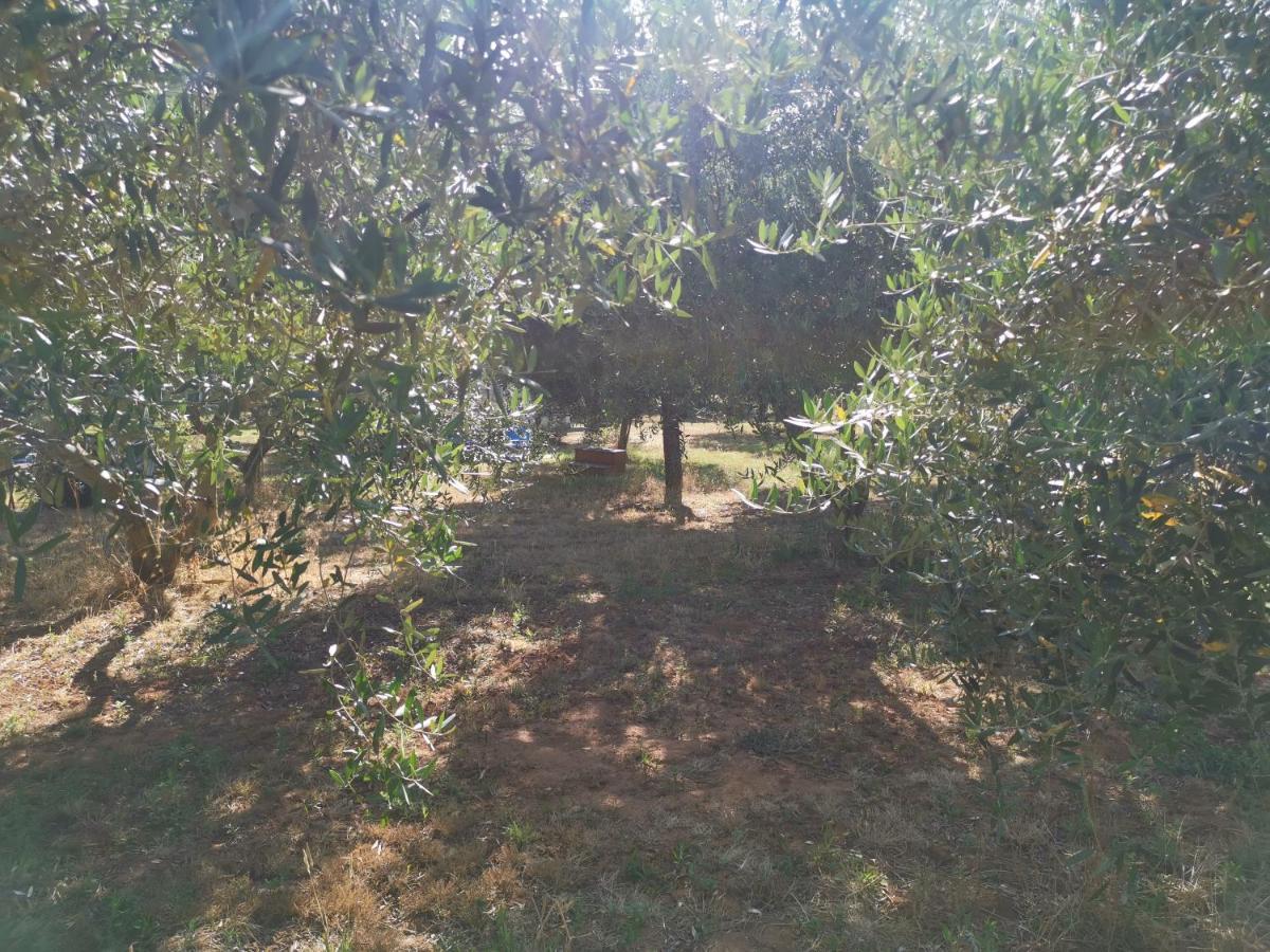 Jacuzi Cottage In The Olive Grove Pula Exteriér fotografie