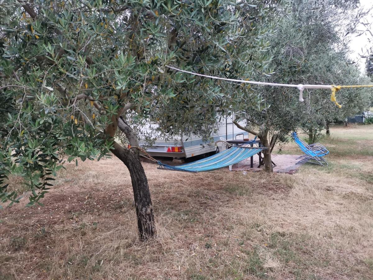 Jacuzi Cottage In The Olive Grove Pula Exteriér fotografie