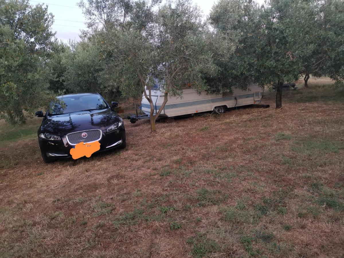 Jacuzi Cottage In The Olive Grove Pula Exteriér fotografie