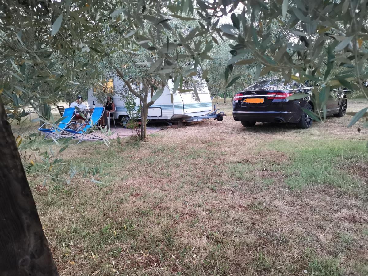 Jacuzi Cottage In The Olive Grove Pula Exteriér fotografie