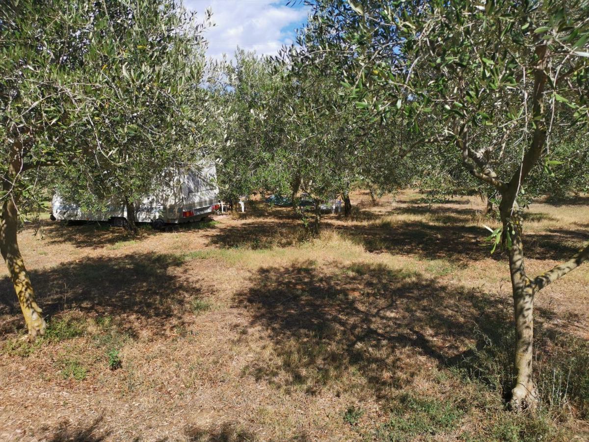 Jacuzi Cottage In The Olive Grove Pula Exteriér fotografie