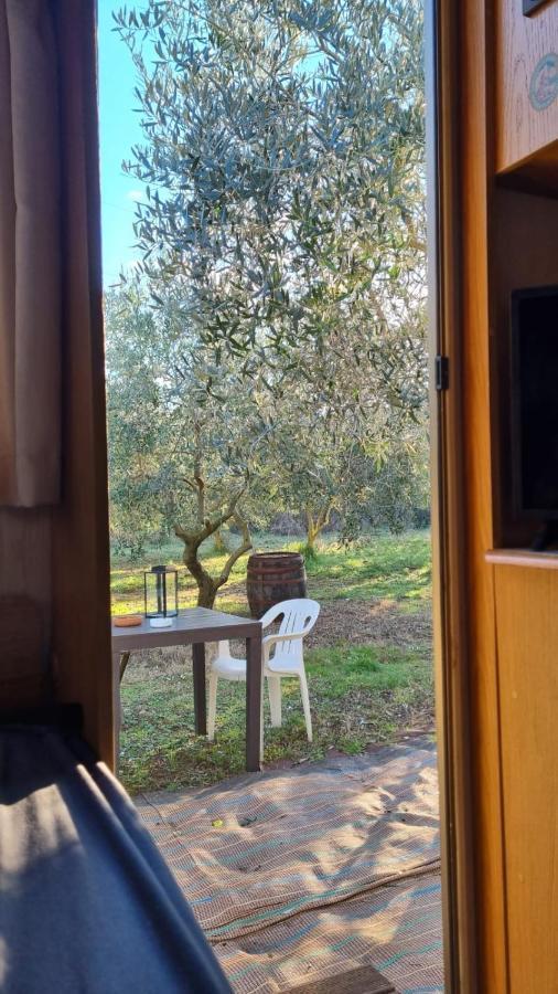Jacuzi Cottage In The Olive Grove Pula Exteriér fotografie