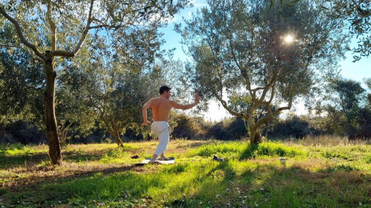 Jacuzi Cottage In The Olive Grove Pula Exteriér fotografie
