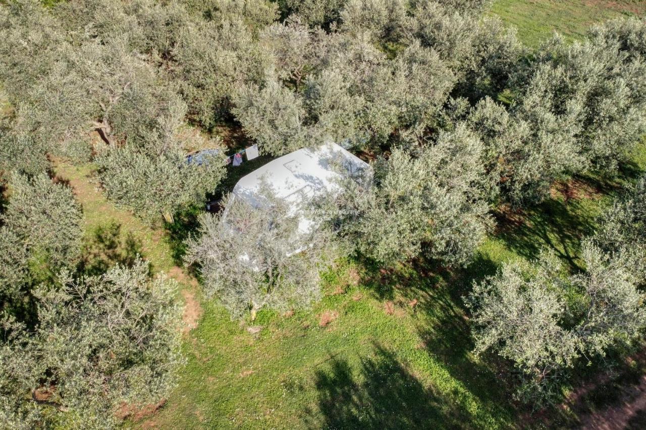 Jacuzi Cottage In The Olive Grove Pula Exteriér fotografie