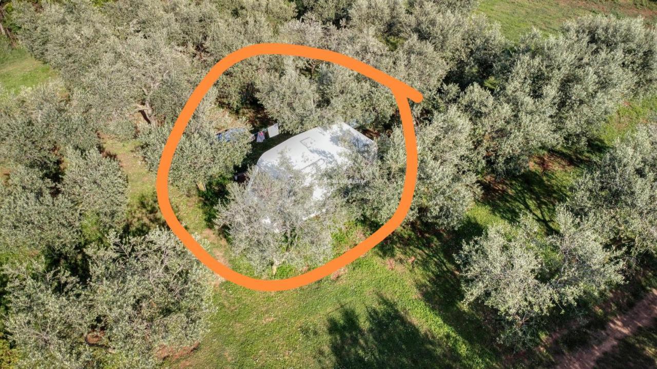 Jacuzi Cottage In The Olive Grove Pula Exteriér fotografie