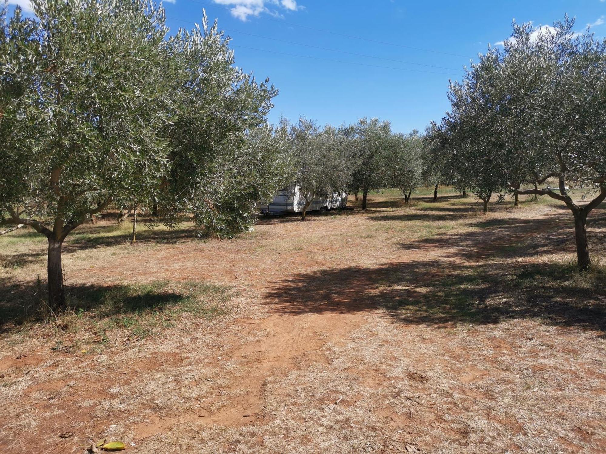 Jacuzi Cottage In The Olive Grove Pula Pokoj fotografie